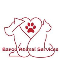 Bayou Animal Services